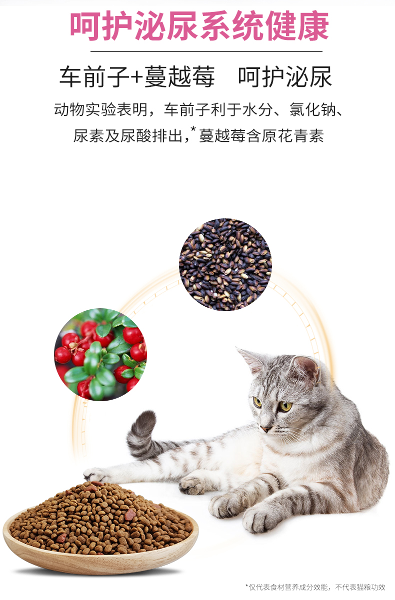 金标成猫_05