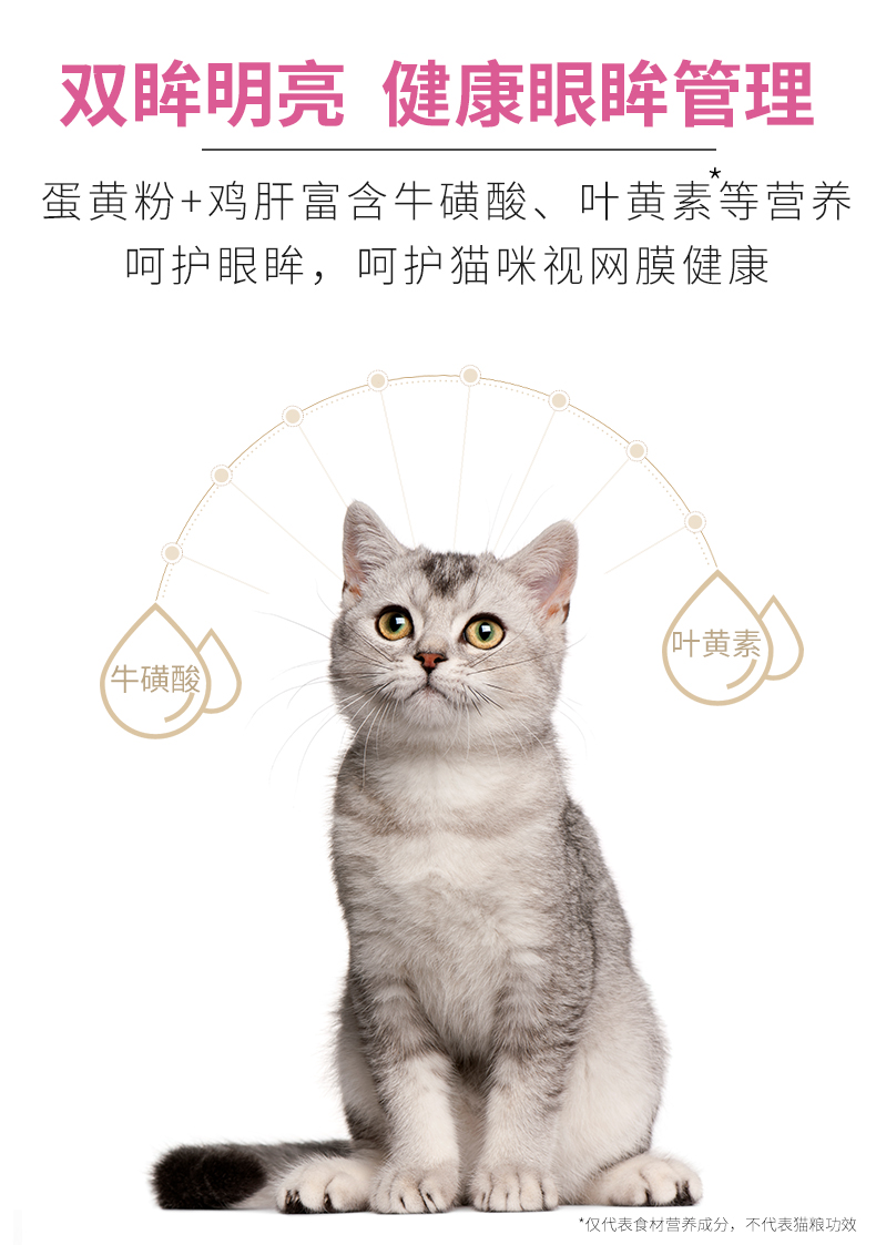 金标成猫_06