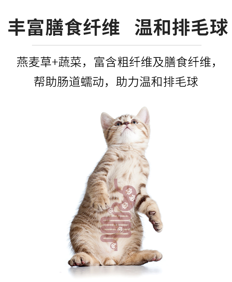 金标成猫_10