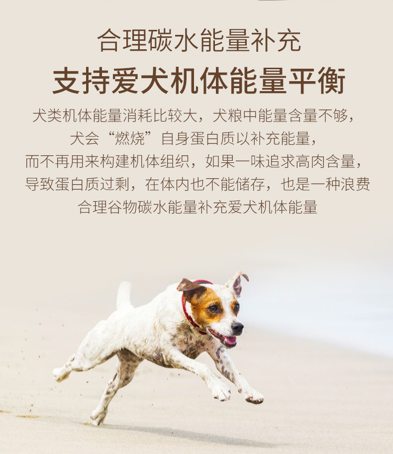 金标成犬_05