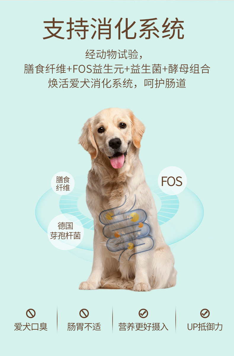 金标成犬_06