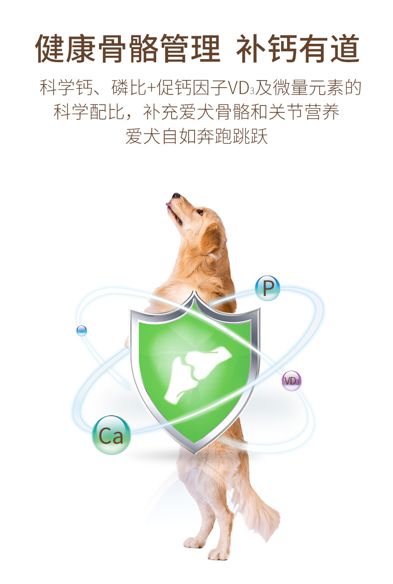 金标成犬_07