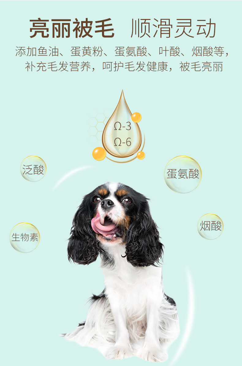 金标成犬_08