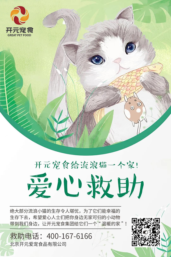 北京开元宠食给流浪猫一个温暖的家