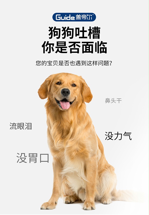 盖帝尔20kg成犬_02