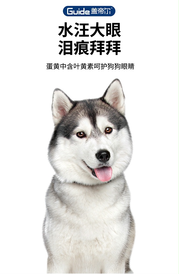 盖帝尔20kg成犬_05