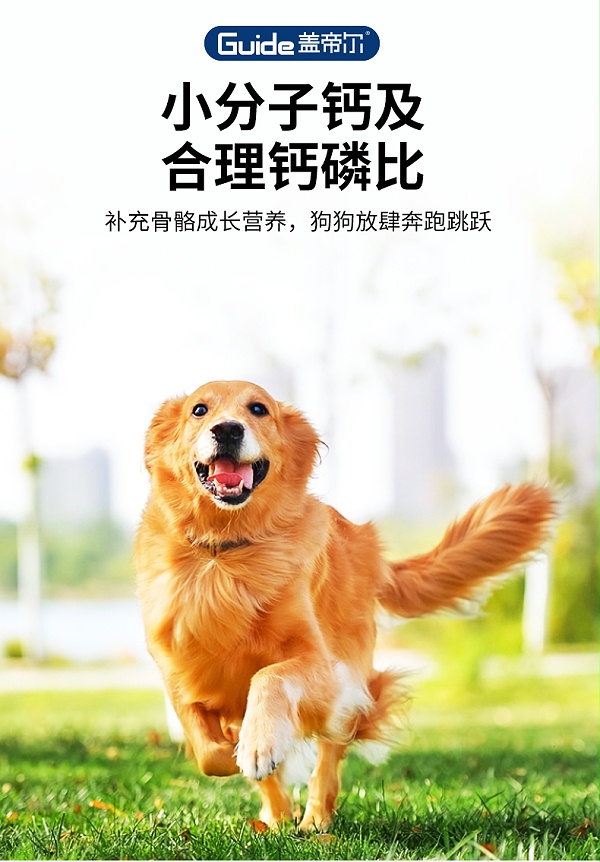 盖帝尔20kg成犬_06