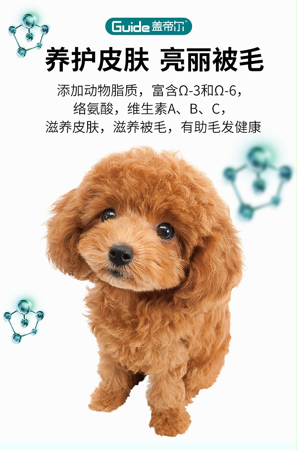 盖帝尔幼犬粮1.5kg_06